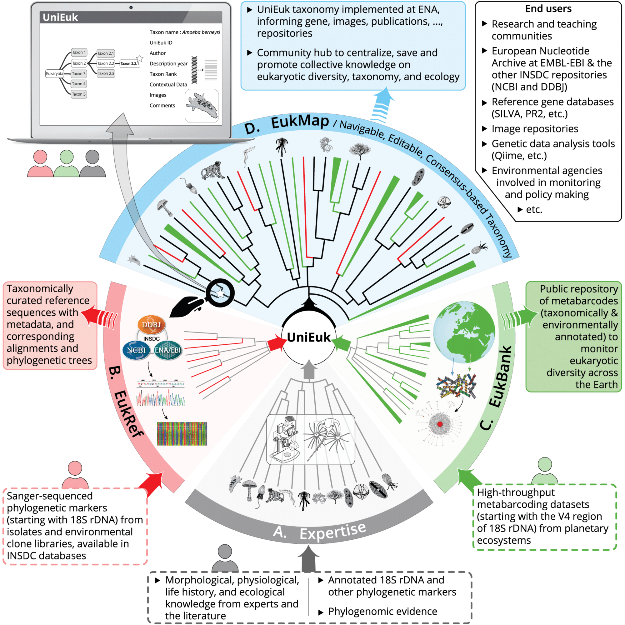 UniEuk Workflow