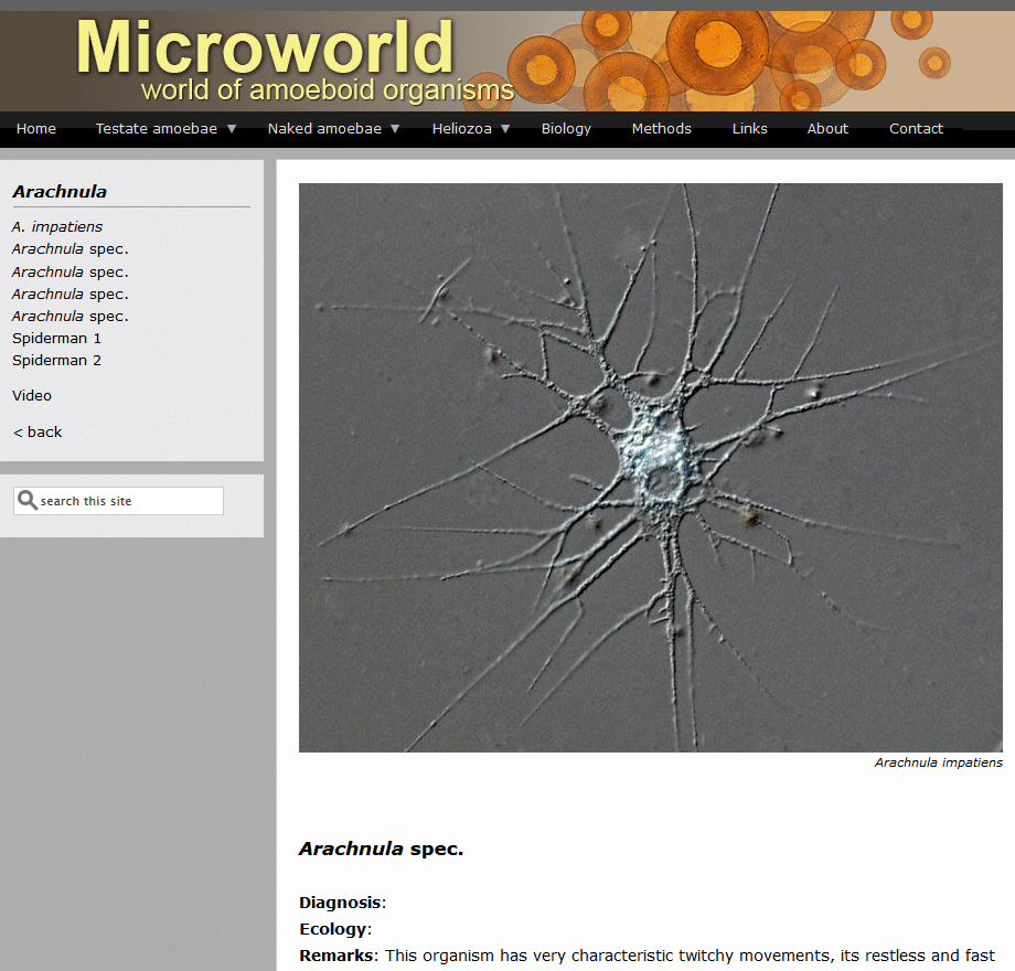 Microworld