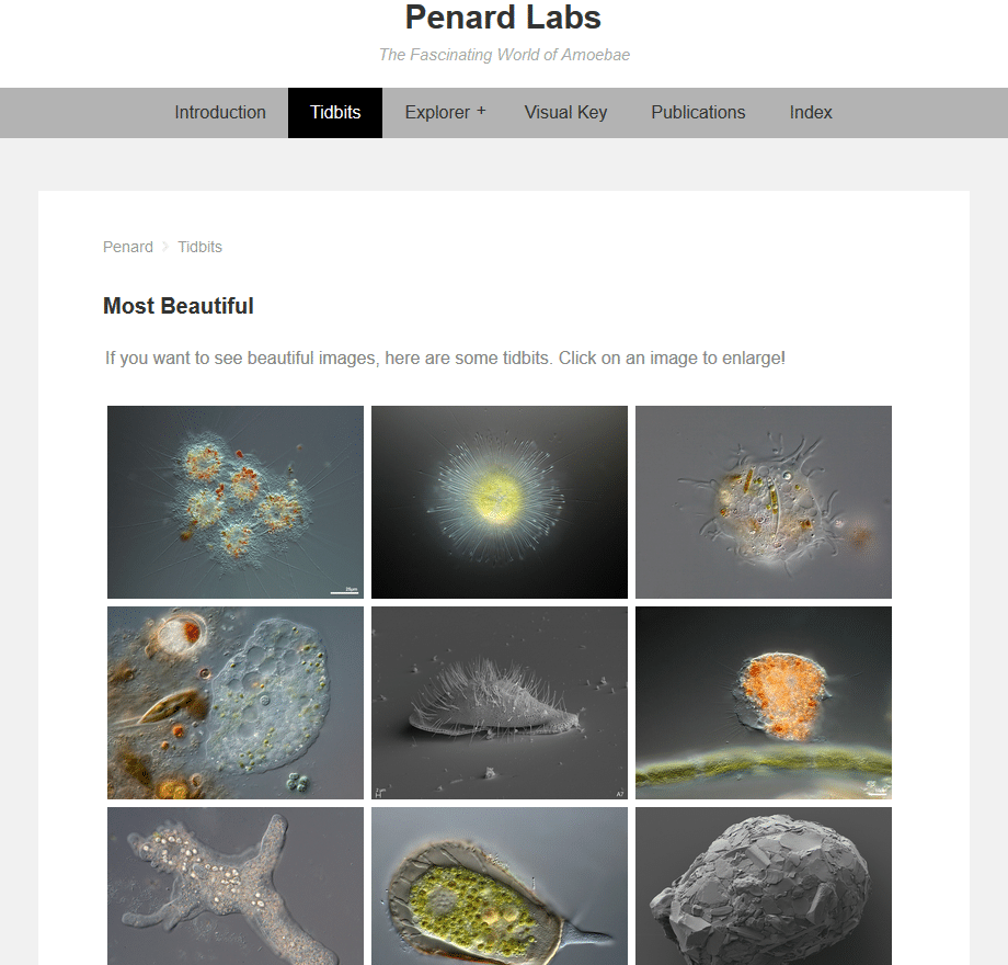Penard Labs
