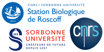 UMR AD2M (7144), EPEP group, Station Biologique